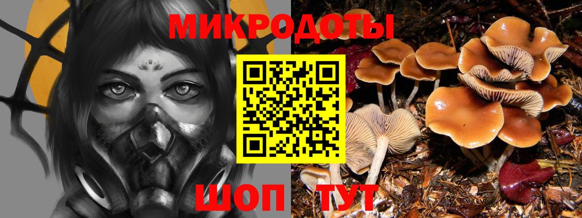 Ростов Великий  хочу наркоту  Галлюциногенные грибы GOLDEN TEACHER  Вход с VPN  Псилоцибиновые грибы ЛСД 