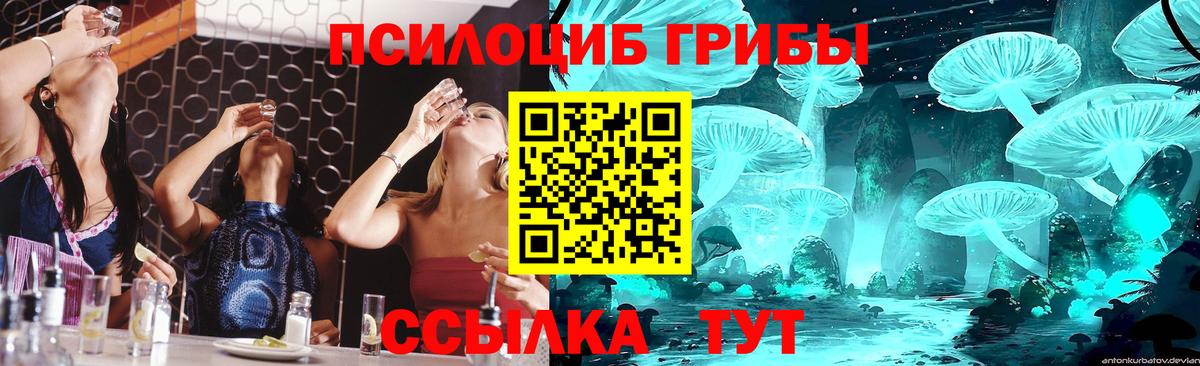 Галлюциногенные грибы Psilocybe Ростов Великий